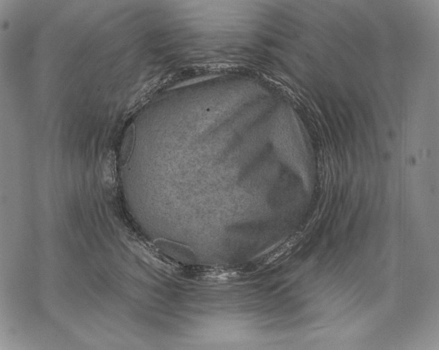 X0000071810760200607141610