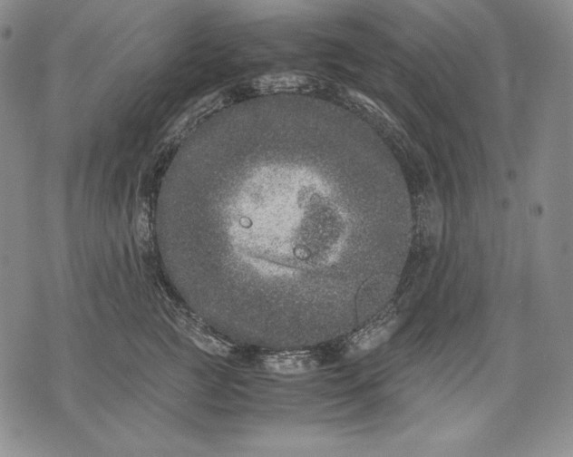 X0000071810761200607141610