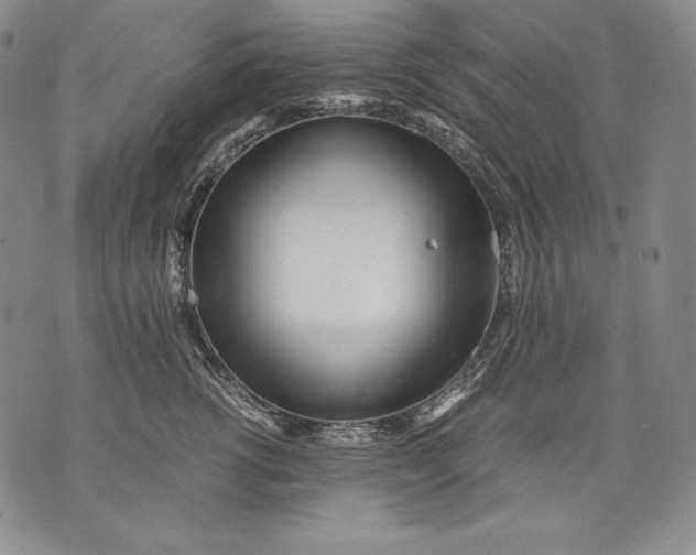 X0000071810762200607141610