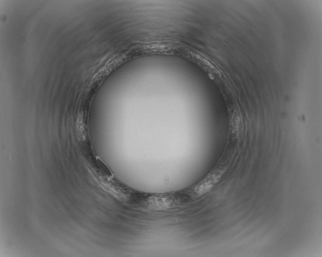 X0000071810764200607141610