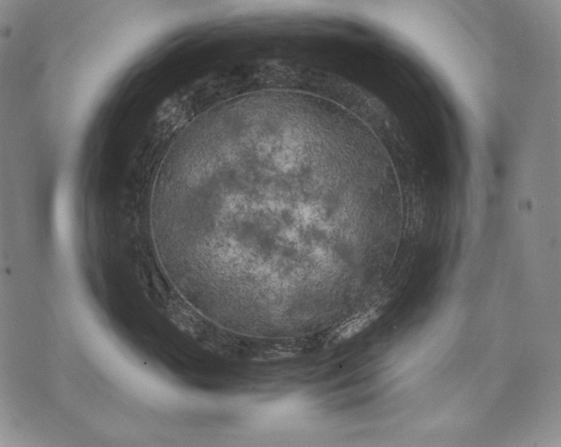 X0000071810765200607141610