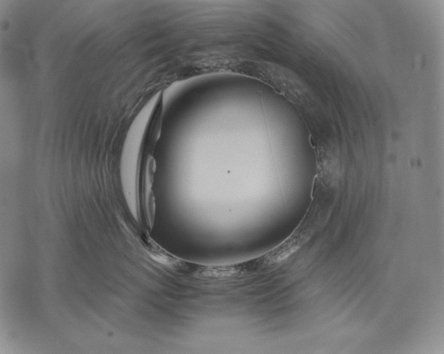 X0000071810767200607141610