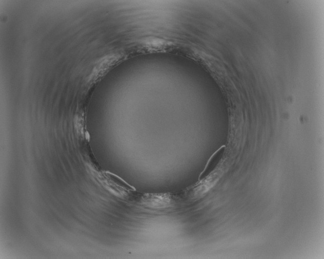 X0000071810768200607141610