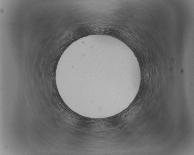 X0000071810769200607141609