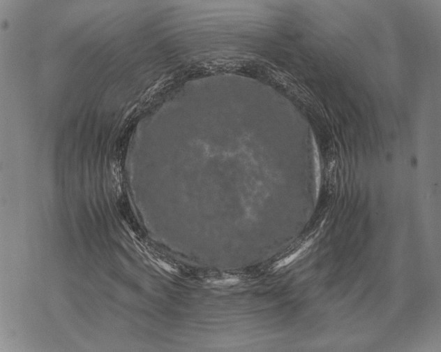 X0000071810772200607141609