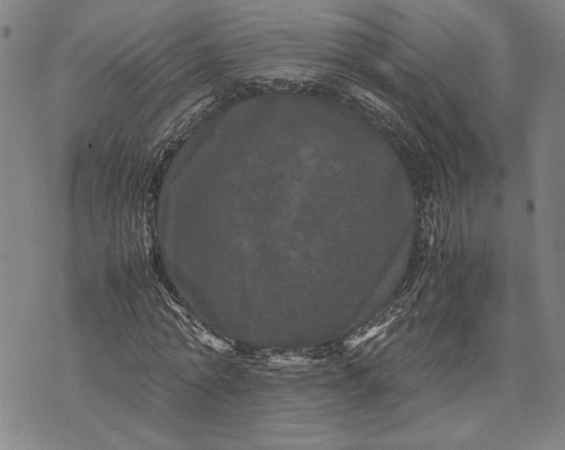 X0000071810774200607141609