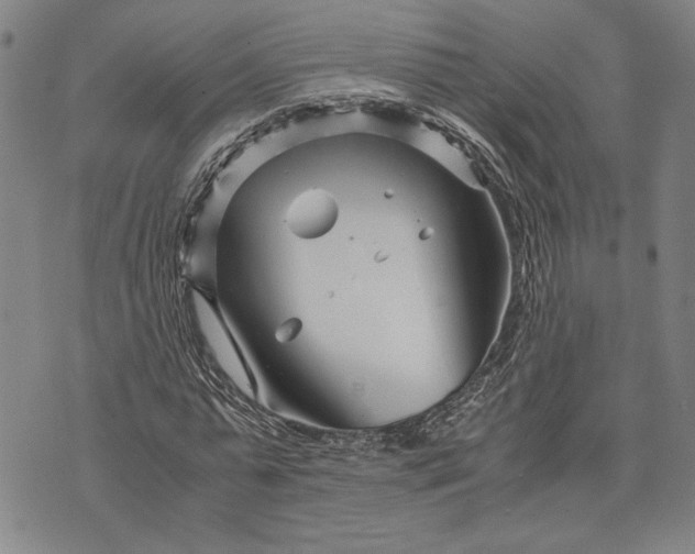 X0000071810775200607141609