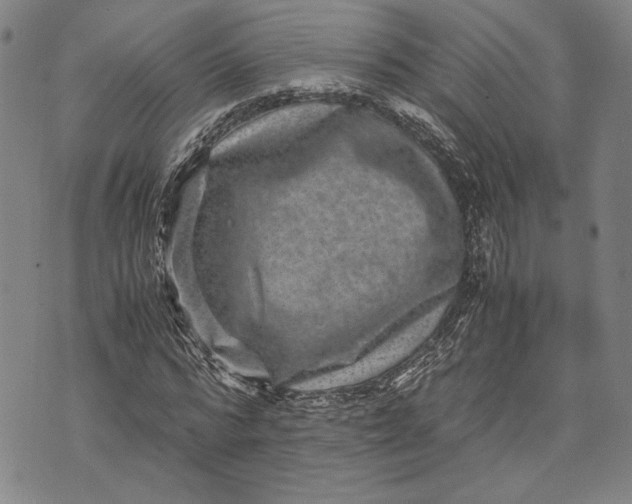 X0000071810776200607141609