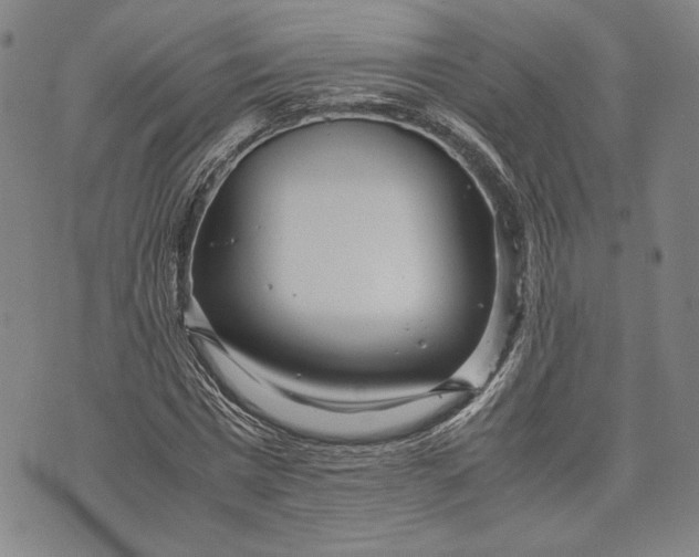 X0000071810777200607141609