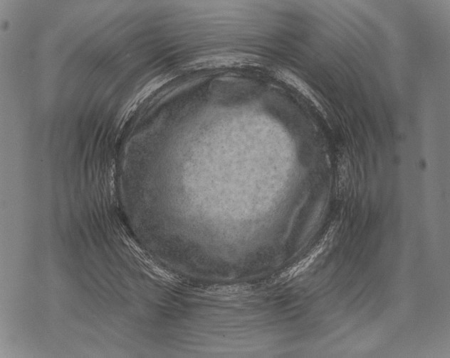 X0000071810778200607141609