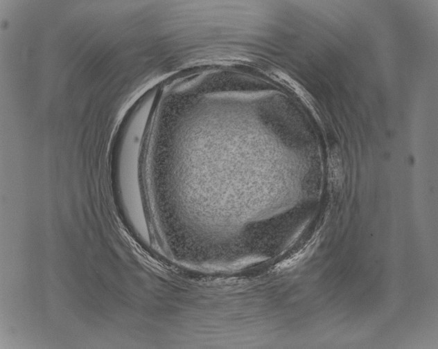 X0000071810779200607141609