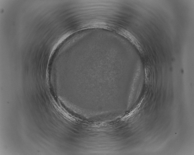 X0000071810780200607141609