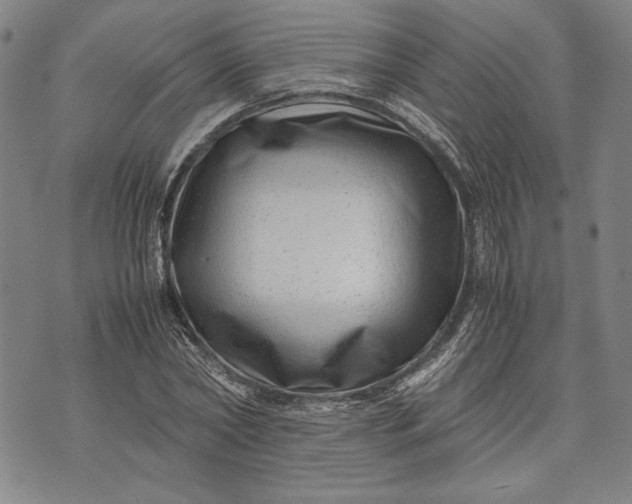 X0000071810782200607141609