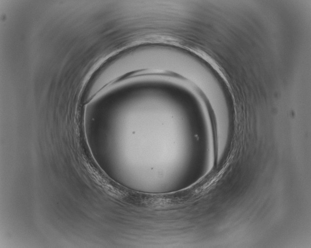 X0000071810783200607141609