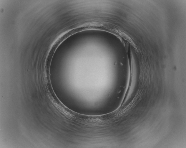 X0000071810784200607141609