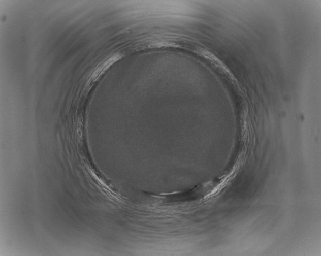 X0000071810785200607141609