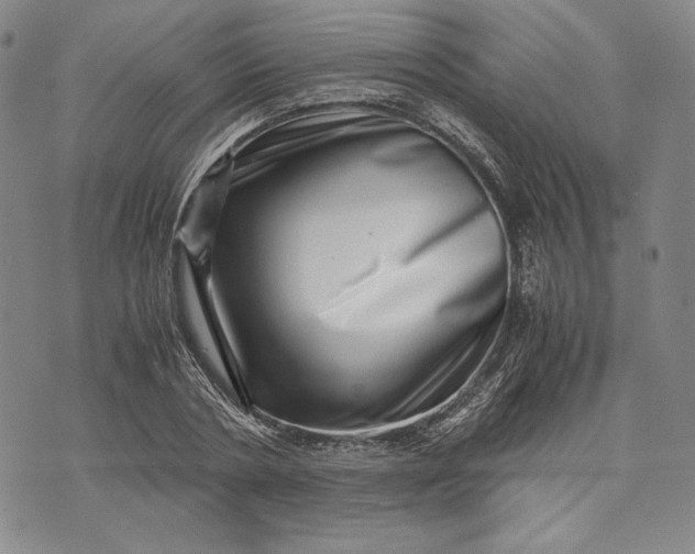 X0000071810786200607141609