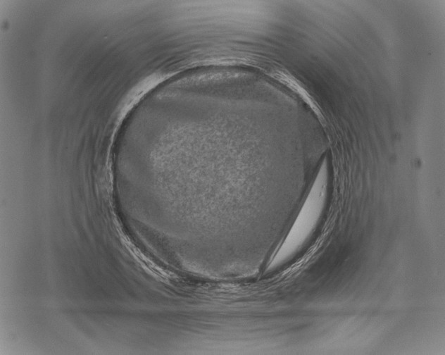 X0000071810787200607141609