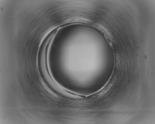 X0000071810788200607141609