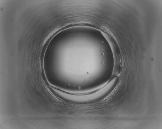 X0000071810789200607141609