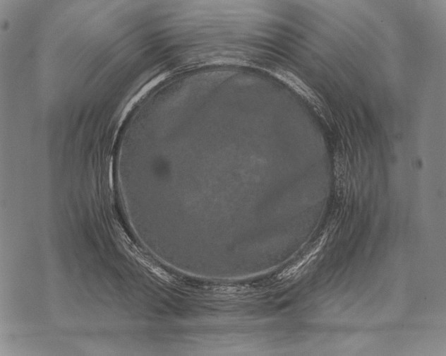 X0000071810790200607141609