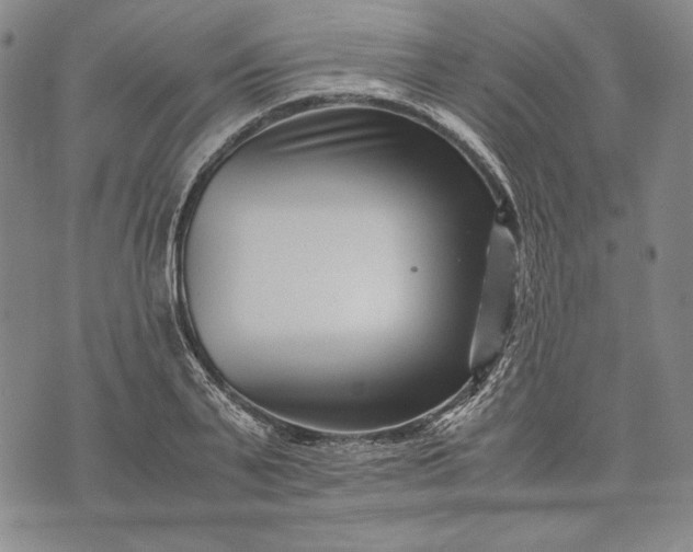 X0000071810791200607141609