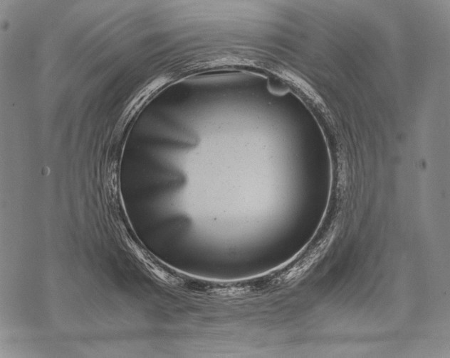 X0000071810793200607141609