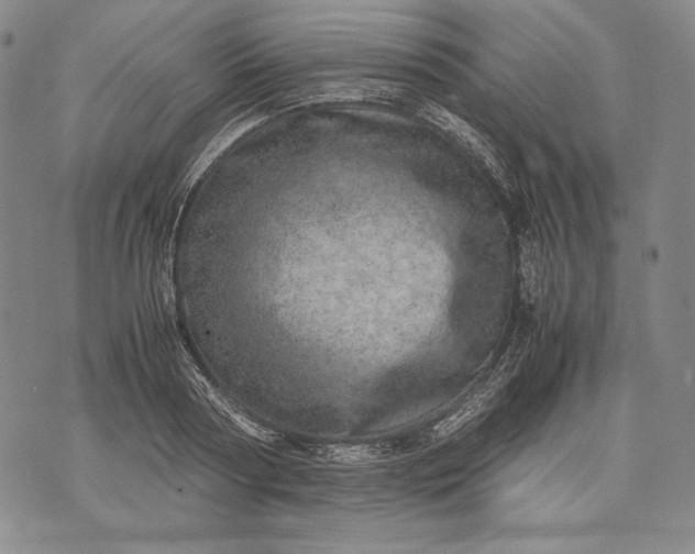 X0000071810794200607141609