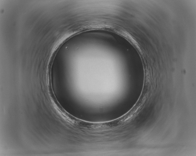 X0000071810795200607141609