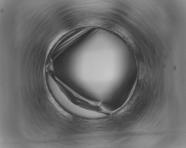 X0000071810796200607141609