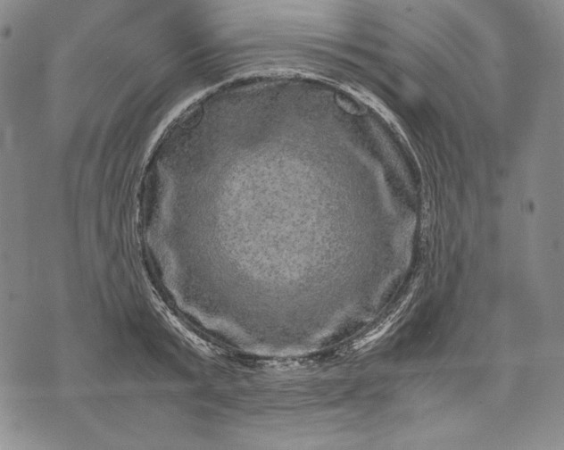 X0000071810799200607141609