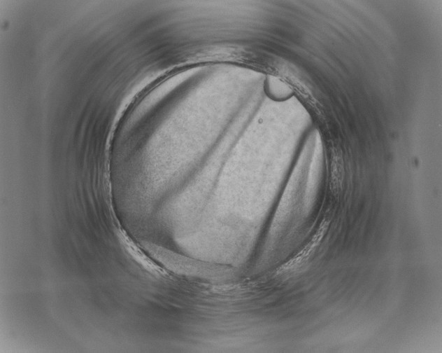 X0000071810800200607141609