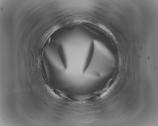 X0000071810801200607141609