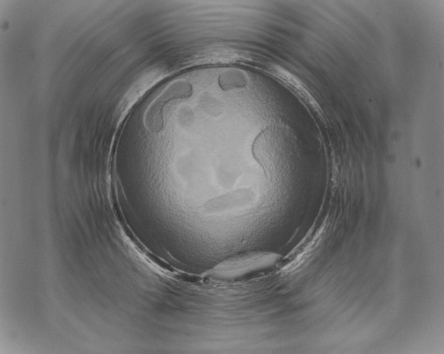 X0000071810802200607141609