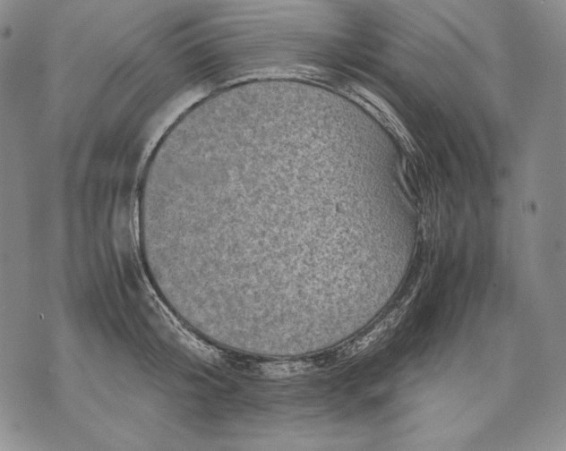 X0000071810804200607141609