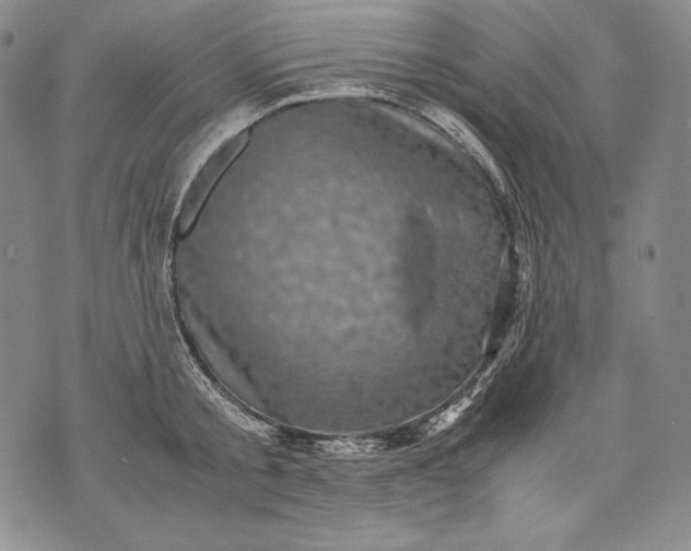 X0000071810805200607141609