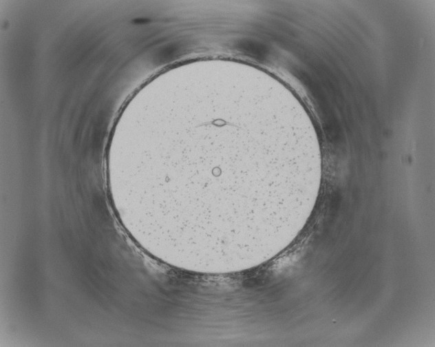 X0000071810807200607141609