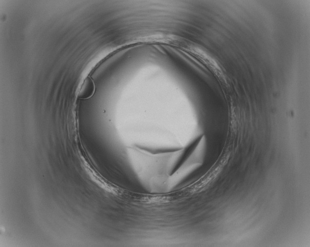 X0000071810808200607141609