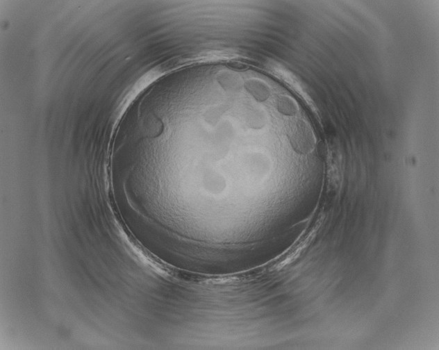 X0000071810810200607141609