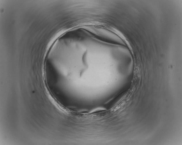 X0000071810811200607141609