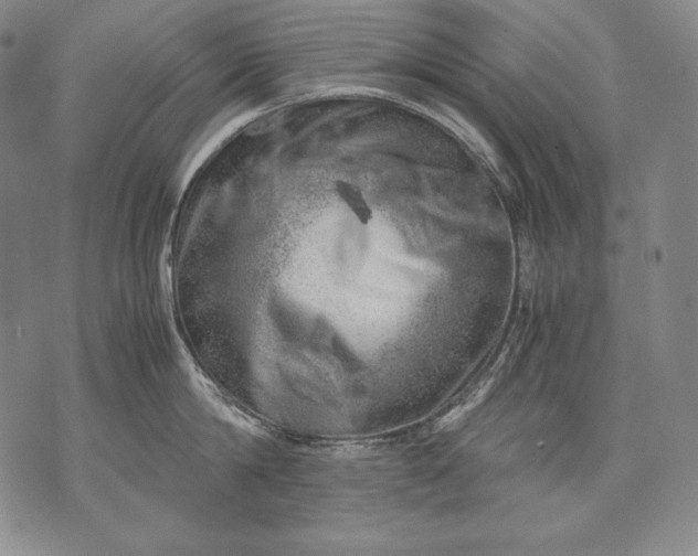 X0000071810814200607141609