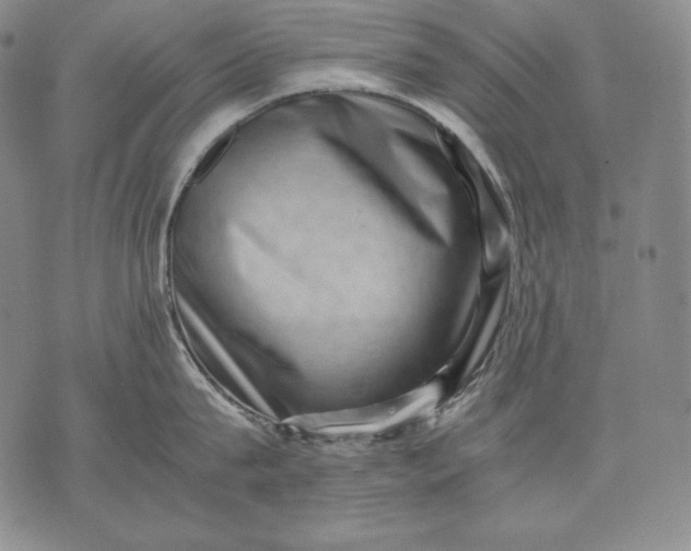 X0000071810815200607141609