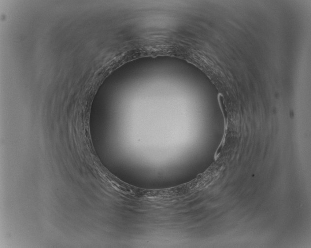 X0000071810817200607141608