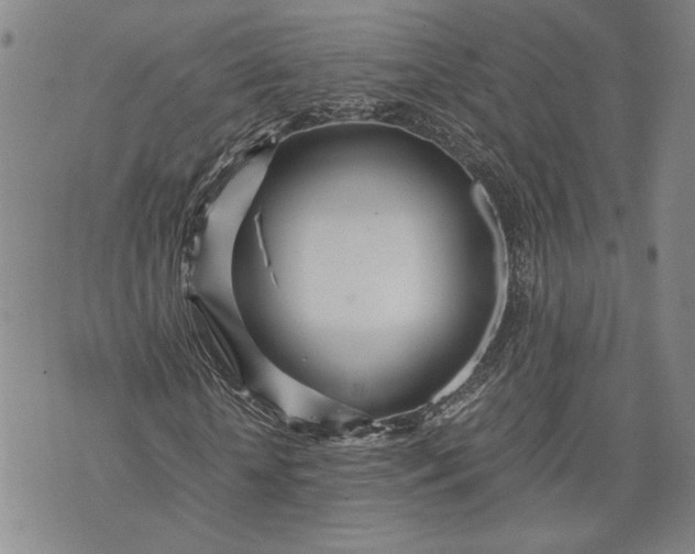 X0000071810818200607141608