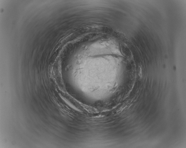 X0000071810819200607141608