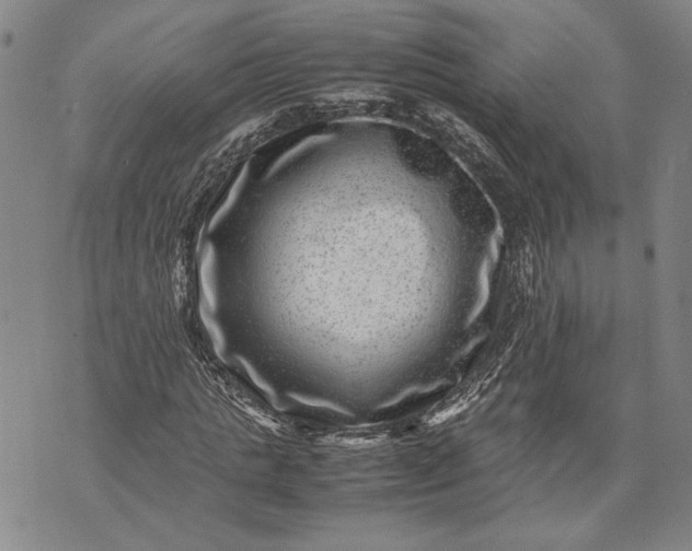 X0000071810821200607141608