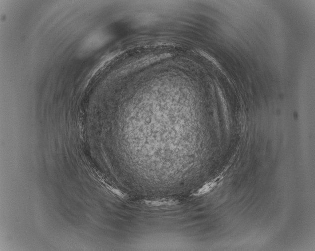 X0000071810823200607141608