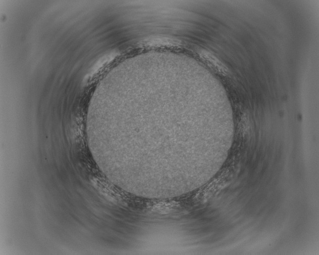 X0000071810824200607141608