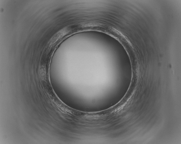 X0000071810825200607141608