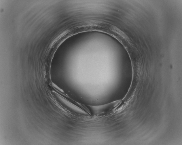 X0000071810826200607141608